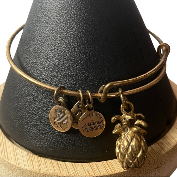 Alex and Ani Gold Pineapple Charm Bangle - Picture 1 of 3